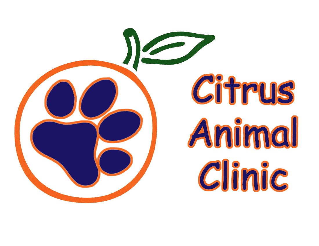 Citrus Animal Clinic